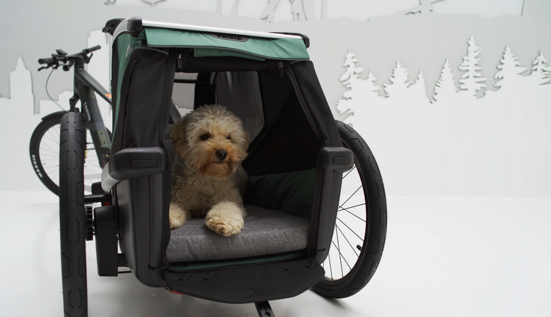 How to Train Your Dog on the Thule Bexey Trailer