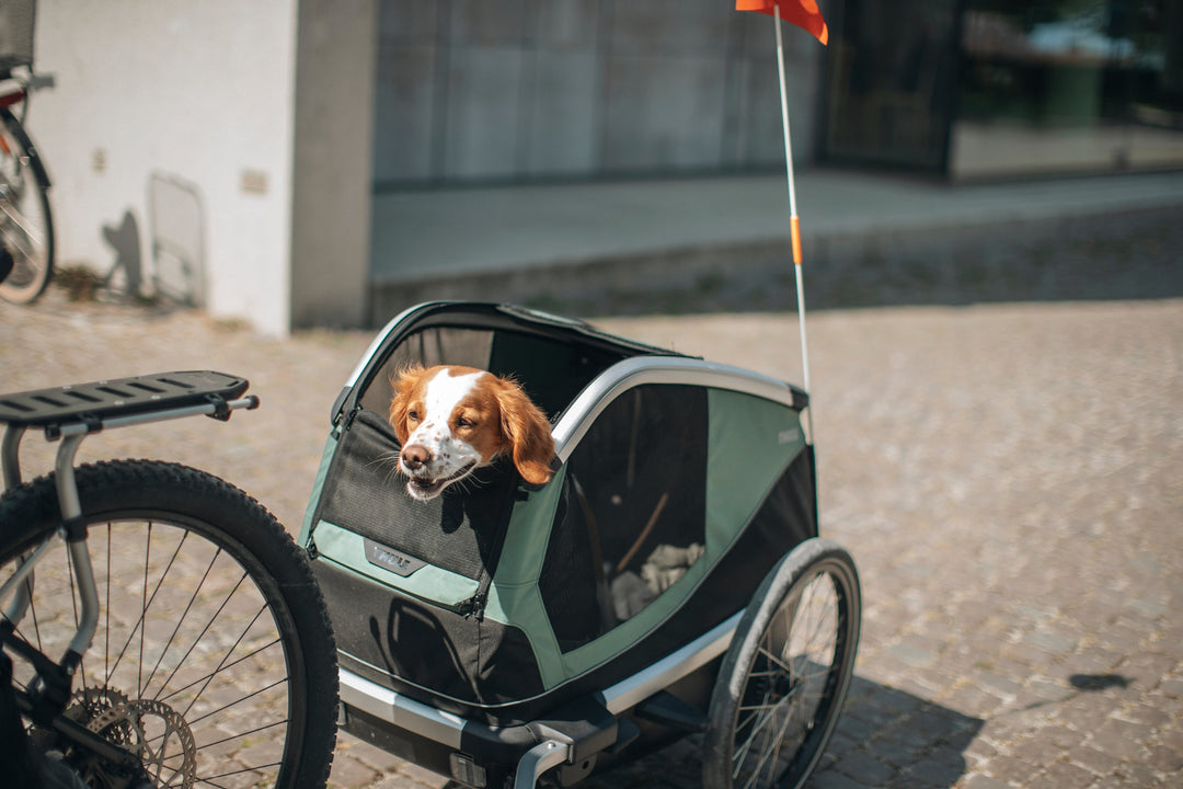 Thule Bexey Dog Bike Trailer - Main Image