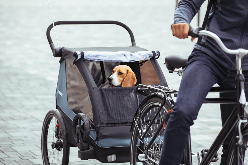 Thule Courier Bike Trailer